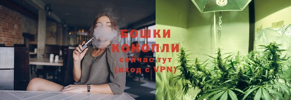 ПСИЛОЦИБИНОВЫЕ ГРИБЫ Балабаново