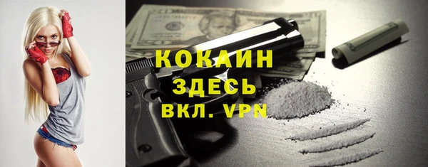 ПСИЛОЦИБИНОВЫЕ ГРИБЫ Балабаново