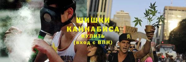 ПСИЛОЦИБИНОВЫЕ ГРИБЫ Балабаново