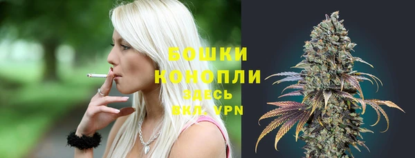 ПСИЛОЦИБИНОВЫЕ ГРИБЫ Балабаново