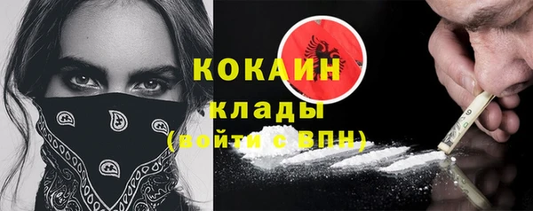 ПСИЛОЦИБИНОВЫЕ ГРИБЫ Балабаново
