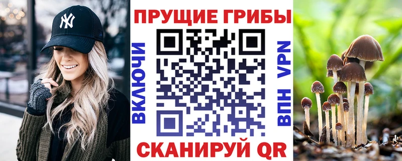 Галлюциногенные грибы MAGIC MUSHROOMS  хочу наркоту  Петрозаводск 